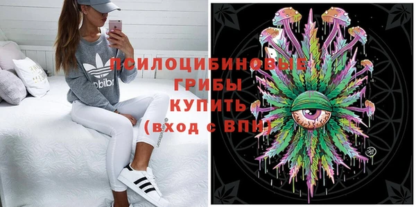 дживик Беломорск