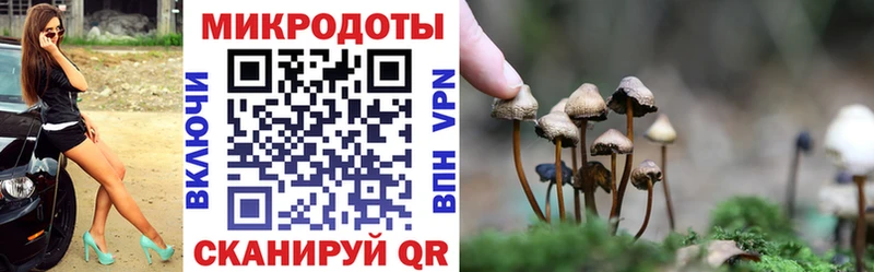 Галлюциногенные грибы Psilocybe  Дигора 