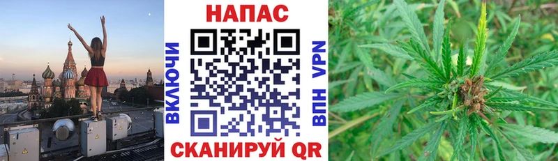 Шишки марихуана семена  цены наркотик  Дигора 